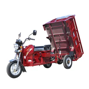 Gasolina de motor personalizável 150cc 200cc, grande capacidade, triciclo de carga para adultos, 2020