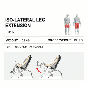 Appareil professionnel de musculation à charge libre pour extensions de jambes, équipement de force pour clubs de fitness et salles de sport WD-F916 Your Trus - Product Image 4
