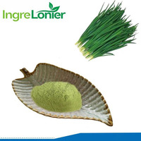 Poudre de ciboulette chinoise de qualité alimentaire de marque privée poudre de poireau séché en prix de gros