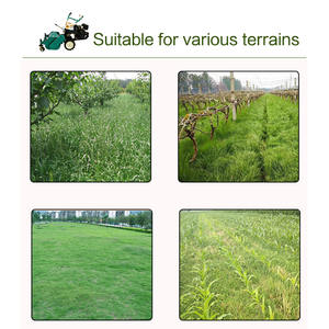 Piccolo frantoio <span class=keywords><strong>a</strong></span> <span class=keywords><strong>mano</strong></span> e tosaerba da frutteto per il diserbo di alberi e terre desolate. - Product Image 6