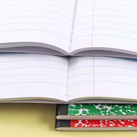 Cuadernos para Estudiantes en Venta Directa de Fábrica, Tamaño B5, Logotipo Personalizado, Lomo Reforzado Cosido, Rayado Ancho, 100 Hojas, Cuadernos de Composición