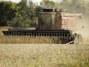 Thương hiệu hàng đầu máy móc nông nghiệp gặt đập gf38 với hiệu quả sản xuất cao từ Trung Quốc trong kho giá rẻ để bán nóng - Product Image 2