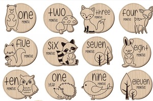 Ingrosso 12 pezzi simpatici fai da te segni di animali in legno pietra miliare del bambino annunci per Baby Shower decorazioni incise carte pietra miliare - Product Image 3