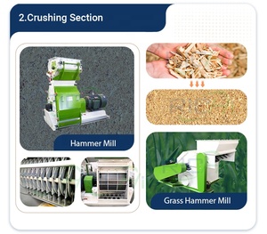 Impianto Multifunzionale per Produzione di <span class=keywords><strong>Pellet</strong></span> di Legno da Biomassa 500-1000 KG/H - Product Image 3