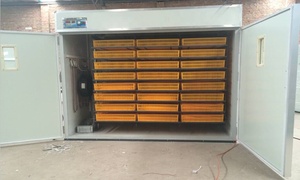Máy Ấp Trứng Và Ấp Trứng 2000 Máy Ấp Trứng Công Nghiệp Kết Hợp Để Ấp Trứng - Product Image 4
