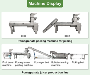 Máquina Eléctrica para Hacer Jugo de <span class=keywords><strong>Granada</strong></span> |   Equipo Automático para el Procesamiento y Pelado de Granadas - Product Image 5