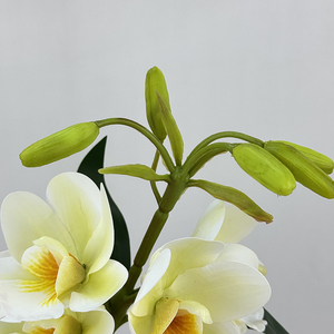 QYYM-516 8 Têtes de Magnolia Qianxi, Décoration Florale Artificielle de Noël de Haute Qualité, Technique Artisanale pour les Occasions de Remise de Diplôme - Product Image 3