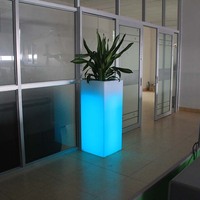 Pot de fleurs lumineux LED artistique et étanche pour extérieur, pots de fleurs LED brillants, produits rotomoulés