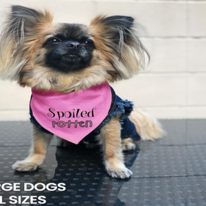 Bandana pour chien ajustable unisexe, mouchoir triangle, bavoir jaune imprimé «Born Run», accessoire de vêtements pour animaux de compagnie lavable et mignon - Product Image 5