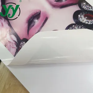 Thickness 180mic Aqueous Printable Adhesive Vinyl Clear Glue White Advertising Inkjet Printer On Vinyl