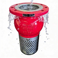Vanne de fond en fonte ductile H42X PN16 anti-retour pour pompe de conduite d'eau – Approvisionnement direct usine