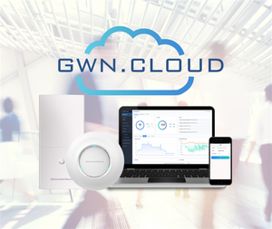 Outdoor Long-Range Wi-Fi <strong>Access</strong> <strong>Point</strong> Grandstream GWN7605LR - Product Image 6