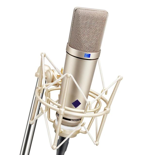 87 Studio Condenser Wired Microphone Large Diaphragm with Multi-Pattern and Low Noise XLR Connector for Vocals Instruments