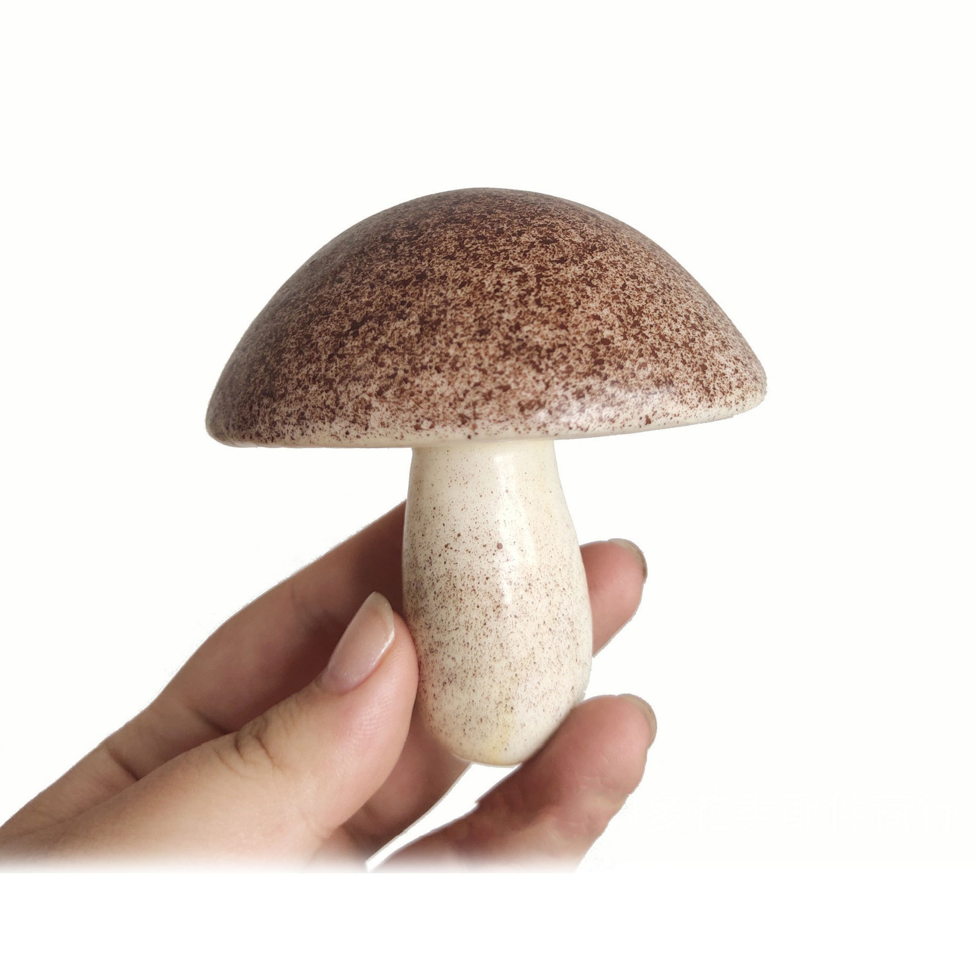 เห็ดสีน้ำตาล