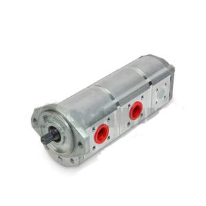 Schwing Betonpumpen-Ersatzteile 10189715 Hochwertige Verdrängerpumpe 31+31+11 OEM 1,5 Jahre Garantie Brandneu - Product Image 3