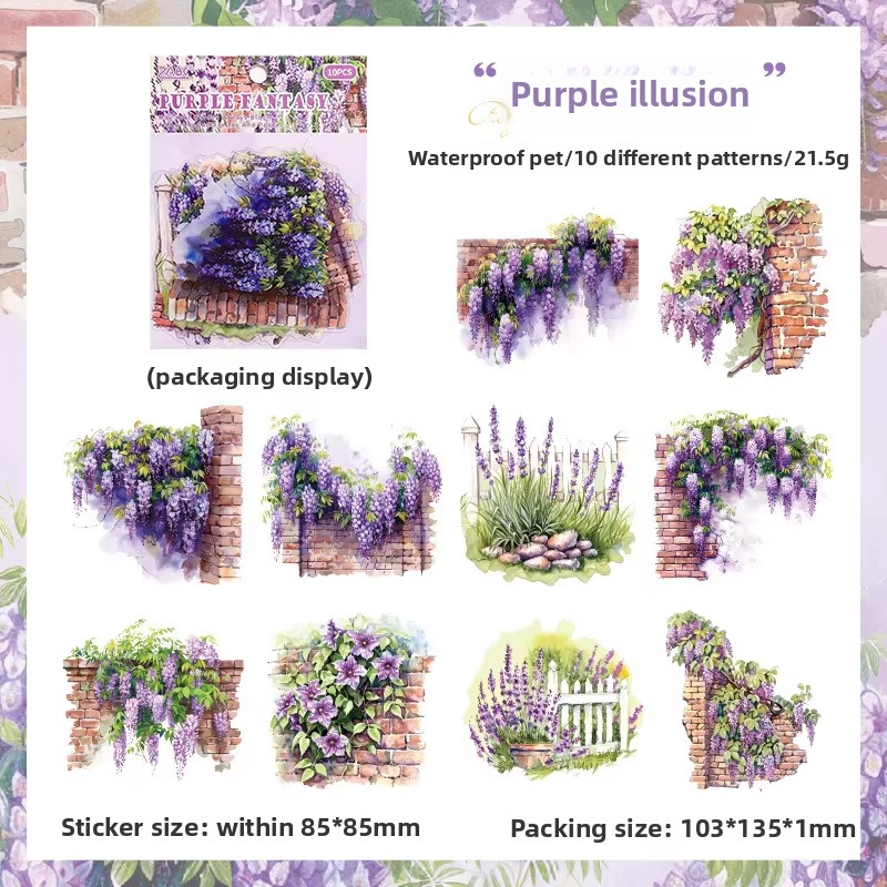 C Vision violette