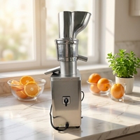 RVS commerciële sapcentrifuge voor calamansi, sinaasappel en mango