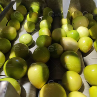 Industriële citroenverwerkingsinstallatie automatische groente- en fruitreinigingsmachine 304 roestvrij staal verse citroenlijn