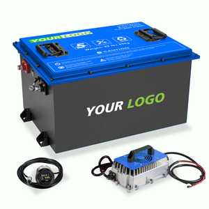 48V 200Ah Lithium Golfwagen-Batterie Club Bus Resort 72V 80Ah 100Ah Golfwagen LiFePO4-Batterie - Product Image 5