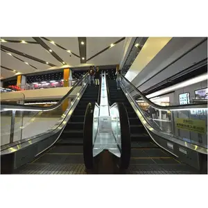 30 açı çin alışveriş merkezi yürüyen merdiven asansör