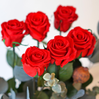 Großhandel Konservierte Rote und Weiße Langstielige Echte Rosen Ewige Blumen für Immer Haltend Valentinstag Geschenkblumen