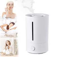 Humidificateur électrique à ultrasons à brume froide 5L avec commande par bouton pour chambre, bureau, maison, hôtel et camping-car - Fonctionnement silencieux
