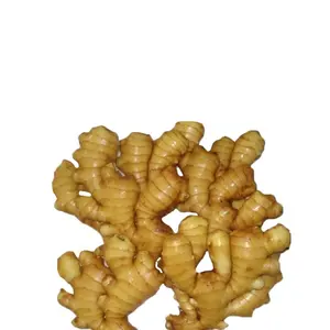 Boa qualidade seco a granel gengibre fresco preço de mercado por tonelada gingerbuyers atacado para comprar gingerexport seco da China