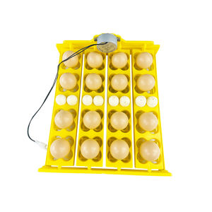 Máquina incubadora de huevos, incubadora automática completa con bandeja de huevos de rodillo, incubadora de plástico, bandeja de huevos - Product Image 2