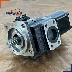 HENGYUHANG yüksek basınçlı hidrolik pompa 20/925357 20925357 hidrolik dişli pompalar takım tezgahları için, enjeksiyon kalıplama makineleri - Product Image 1