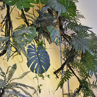 Hongo de Plástico Verde Escarchado de Tallo Único, Nephrolepis Exaltata, Cola de Fénix, Helecho de Boston, Pteris Vittata, Dicranopteris Pedata, Decoración Navideña para el Hogar