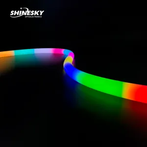 Shinesky nuovo arrivo personalizzato al Neon decorazione in Silicone 360 esterno flessibile IP67 impermeabile 24v digitale Neon Led striscia di luce