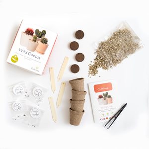 Graines de cactus à faire pousser soi-même, françaises, 100% écologiques, pour planter <span class=keywords><strong>et</strong></span> décorer, idée cadeau, kit de démarrage de cactus mixtes - Product Image 2