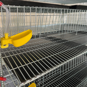 Gabbia <span class=keywords><strong>per</strong></span> <span class=keywords><strong>Quaglie</strong></span> a 6 Livelli Tipo H con Mangiatoia Automatica, Capacità 300-330 <span class=keywords><strong>Quaglie</strong></span> <span class=keywords><strong>per</strong></span> Produzione di Uova - Product Image 2