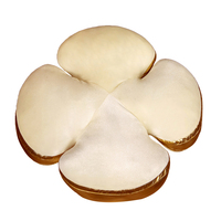 Coussin en peluche trèfle à quatre feuilles personnalisé, idéal pour la décoration intérieure, symbole de la chance