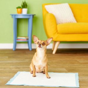 2026 Alèses d'apprentissage jetables pour chiots en charbon de bois et fibres, super absorbantes, avec autocollants personnalisés de marque OEM - Product Image 6