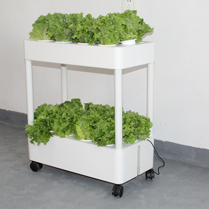 Sistema de Cultivo Vertical Modular Hidropónico Móvil de Múltiples Niveles para Lechuga y Fresas para Operaciones de Cultivo Comercial - Product Image 2
