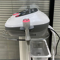 Dispositivo de Belleza con Electroporación, Electroporador Facial y Corporal, Enfriamiento de la Piel, Equipo Profesional de Rejuvenecimiento Cutáneo