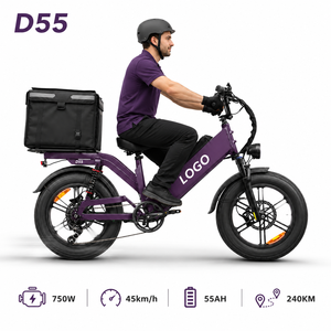 Bicicleta Eléctrica de Carga D55, 48V55Ah, Alta Velocidad, 750W, Neumático Grueso de 20 Pulgadas, 28 mph, OEM, Bicicleta Todoterreno para Reparto - Product Image 1