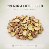 Graines de lotus séchées en gros, qualité alimentaire, semence comestible Nelumbinis pour thé, soupe, ragoût, ingrédient culinaire