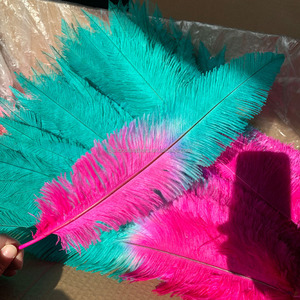 Nuevo producto 18-20 "45-50 cm Dos tonos de avestruz teñida blanqueada <span class=keywords><strong>Nandu</strong></span> - Product Image 4