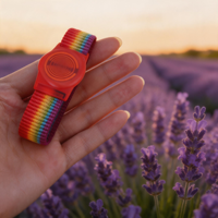 Gelang Penyembuhan Praktik Meditasi Resonansi Osilator Multi-frekuensi Cakram Cahaya Terpolarisasi MWO