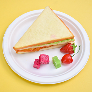 Assiettes jetables en bagasse de canne à sucre écologiques 100% compostables de 9 pouces pour gâteaux, pizzas, micro-ondes et résistantes à l'huile - Product Image 5