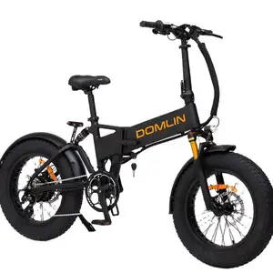 20 inch 48V Lithium Battery Aluminum Alloy 7 Speed Fat Tire Electric Folding Bike