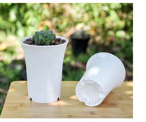 Pots <span class=keywords><strong>de</strong></span> fleurs ronds, carrés, polygonaux, blancs, noirs, en plastique, pour plantes succulentes, Haworthia Maughanii, pépinière, décoration <span class=keywords><strong>de</strong></span> jardin et <span class=keywords><strong>de</strong></span> maison - Product Image 4