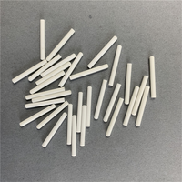 Électrode de référence en céramique poreuse 1-5 µm pour pont salin des analyseurs de sang