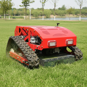 免费送货 100% 遥控式卷轴式割草机 花园履带式割草机 汽油割草机 - Product Image 5