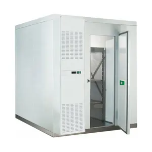 Dondurucu soğuk oda depolama CE ISO küçük yürüyüş buzdolabı dondurucu konteyner içinde yürümek