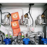 3000L 3 Schläuche tragbarer Behälter Kraftstoff mobiler Spender Mini-Tankstelle Tankstelle