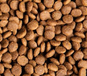 <span class=keywords><strong>Cibo</strong></span> Secco <span class=keywords><strong>per</strong></span> <span class=keywords><strong>Cani</strong></span> 2026 Best Seller, Alto Contenuto Proteico, Senza Cereali, Ingredienti Naturali, Vitamine e Minerali, <span class=keywords><strong>Per</strong></span> Tutte le Razze e Età, 10kg, Marca OEM - Product Image 3