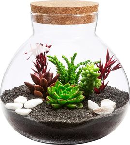 Террариум стеклянный, 750 мл - Product Image 2